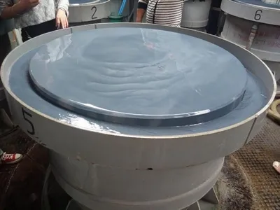 Hạt Mài Cacbua Silic Đen